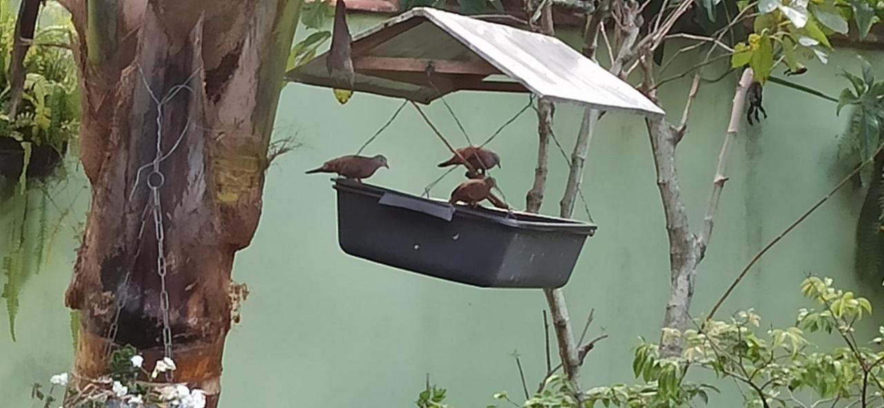 Espaco Aconchego Com Ar-Condicionado E Amplo Jardim Villa Caraguatatuba Buitenkant foto