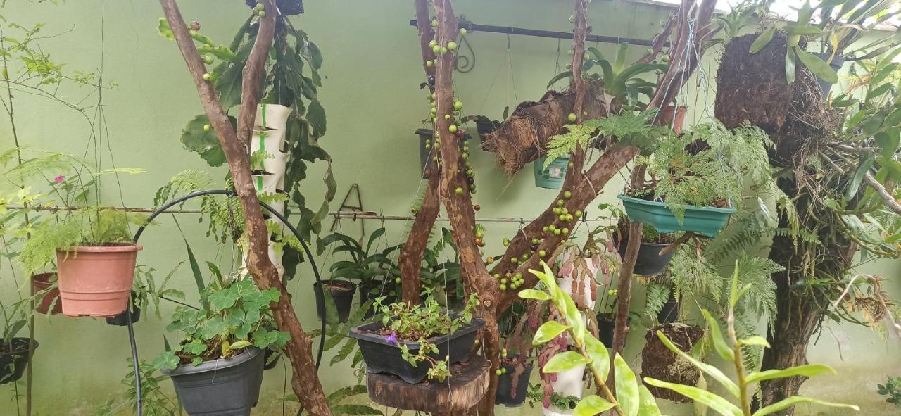 Espaco Aconchego Com Ar-Condicionado E Amplo Jardim Villa Caraguatatuba Buitenkant foto