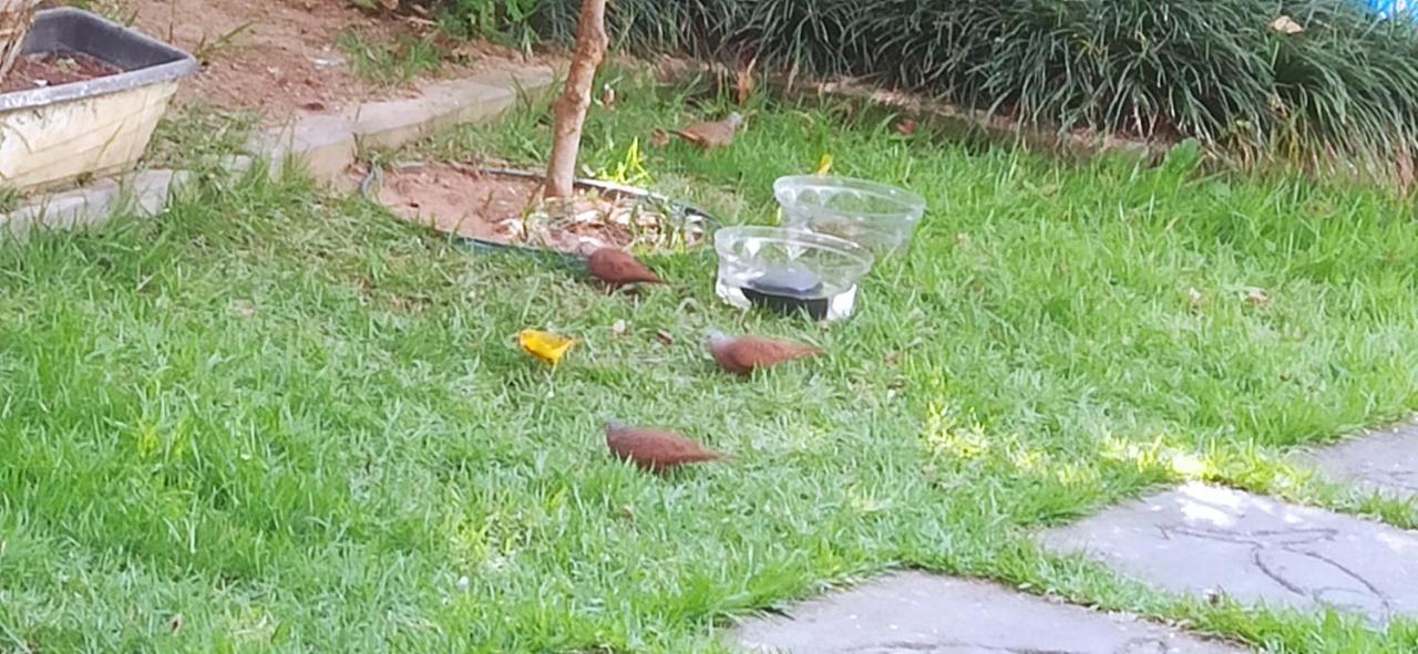 Espaco Aconchego Com Ar-Condicionado E Amplo Jardim Villa Caraguatatuba Buitenkant foto